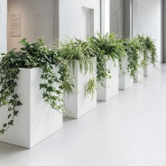 plantenbakken