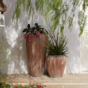 Skin Pots