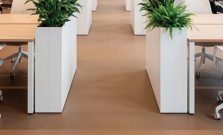 Design Collection Plant