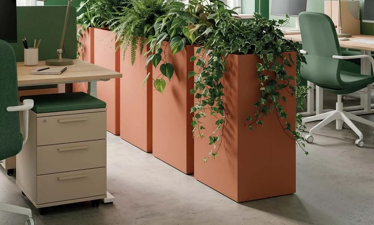 Design Collection Plant