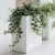 Design Collection Plant