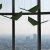 V-Flap